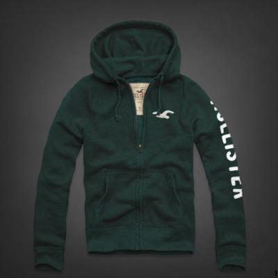 Hollister Men Hoodies-113